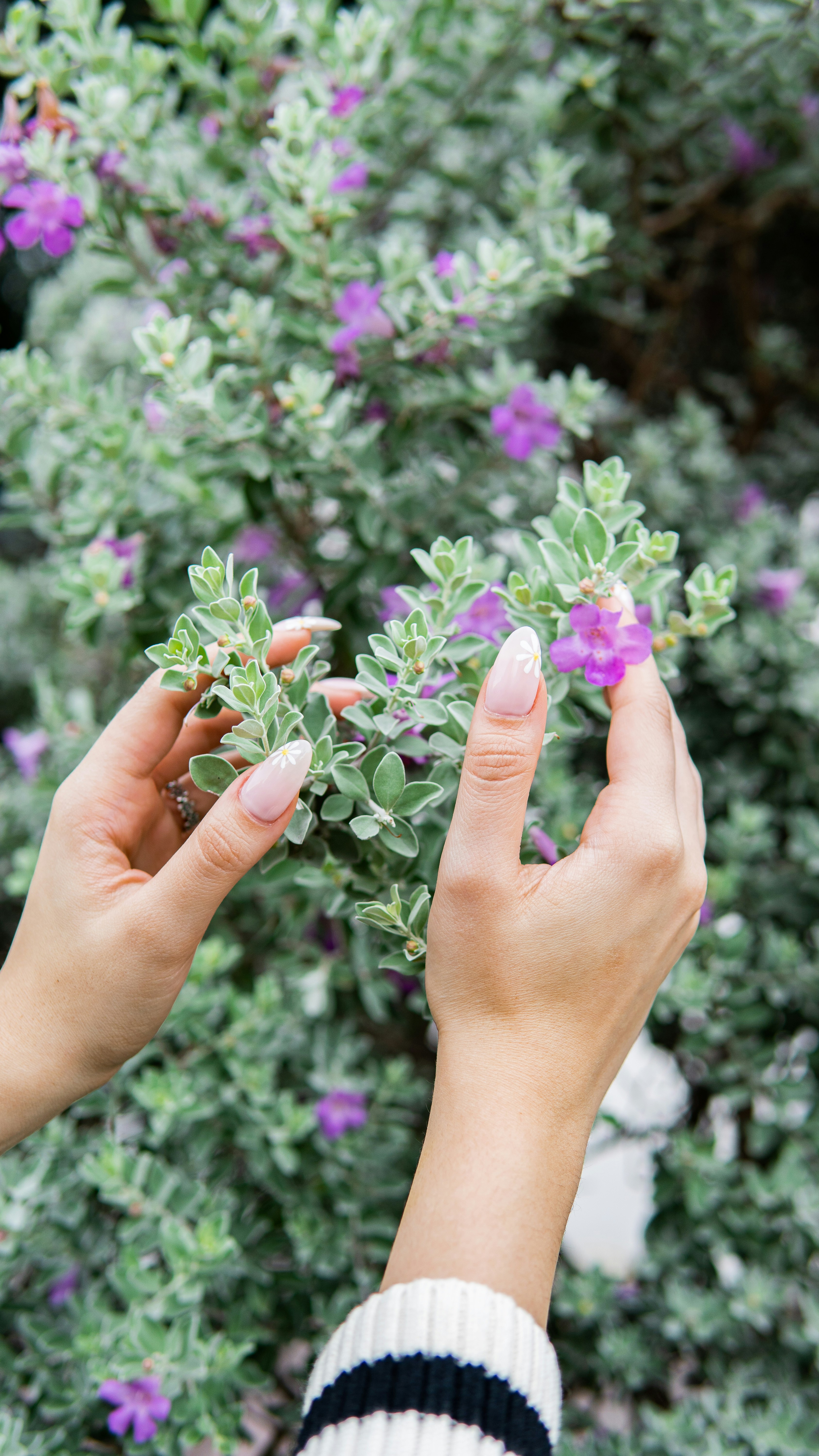 unhas decoradas com flores